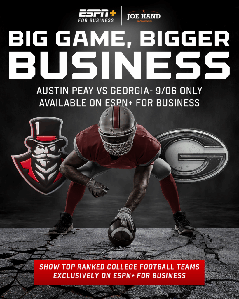 Animated project preview