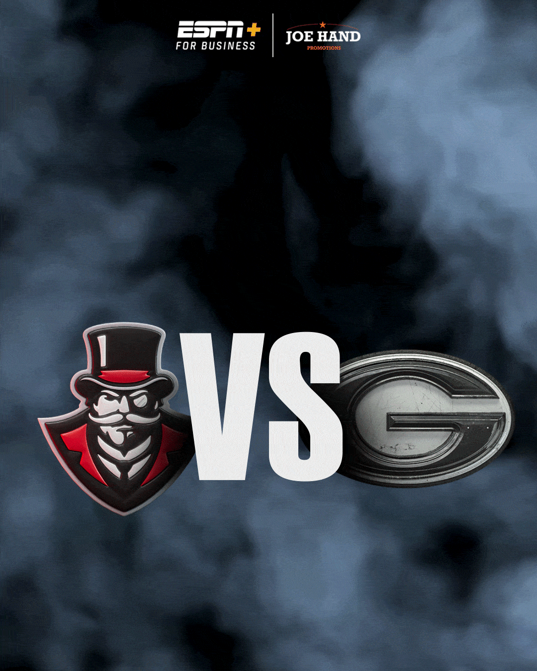 Animated project preview